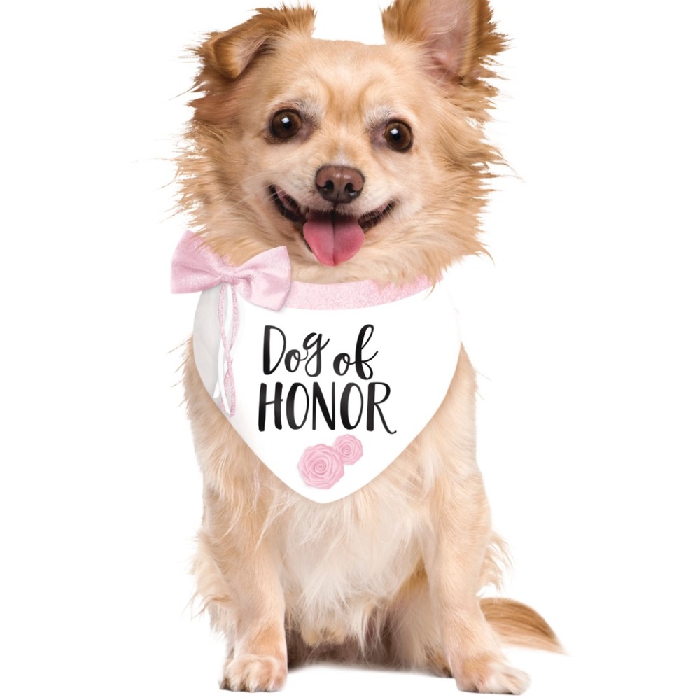 Dog of Honor Bandana with Pink Bow